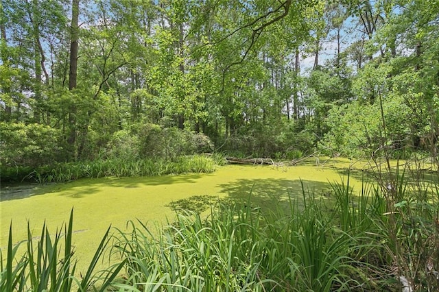20226 Chandler Dr, Covington, LA 70435 - view of green lawn