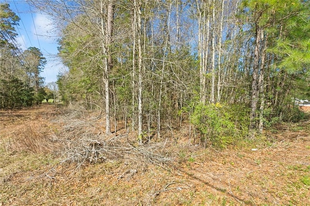 LOT6 Magnolia St, Folsom, LA 70437