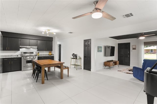 108 Cadow St, Paradis, LA 70080 - kitchen with stainless steel range with gas stovetop, dark cabinetry, under cabinet range hood, ceiling fan, and light countertops