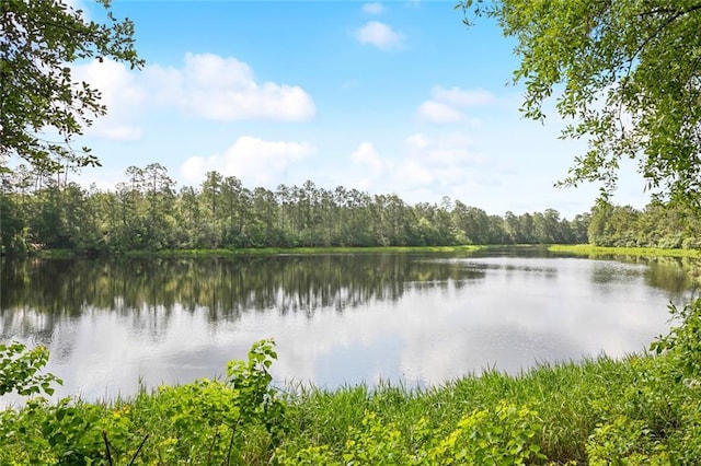 104 Inverrary Ct, Slidell, LA 70460 - water view with a forest