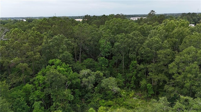 Hewitt Rd, Hammond, LA 70403