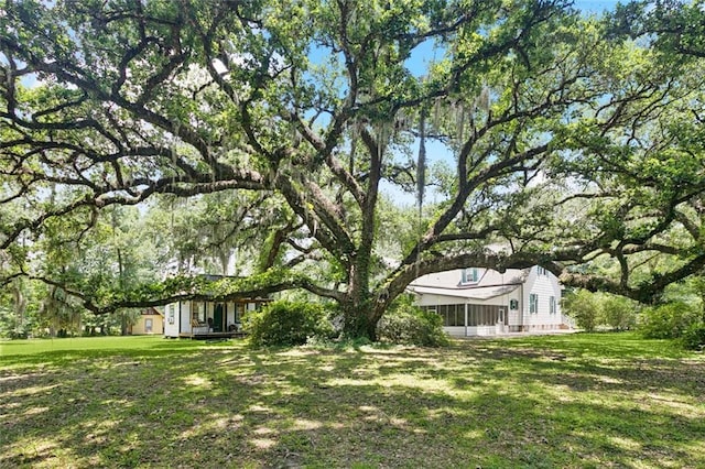 39267 Z Oaks Ln, Ponchatoula, LA 70454 - view of green lawn