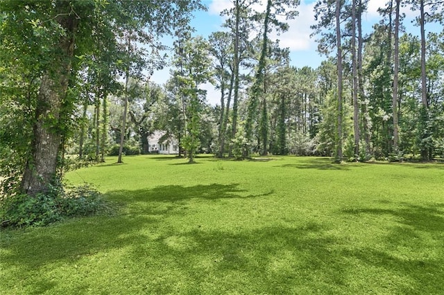 39267 Z Oaks Ln, Ponchatoula, LA 70454 - view of green lawn