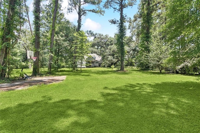 39267 Z Oaks Ln, Ponchatoula, LA 70454 - view of green lawn