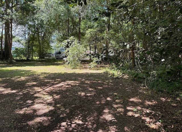 312 W 20th Ave, Covington, LA 70433 - view of yard