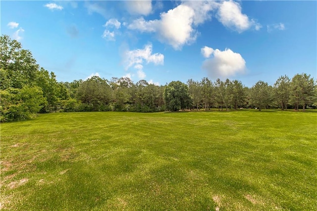 25194 Sprehe Rd, Angie, LA 70426 - photo 24
