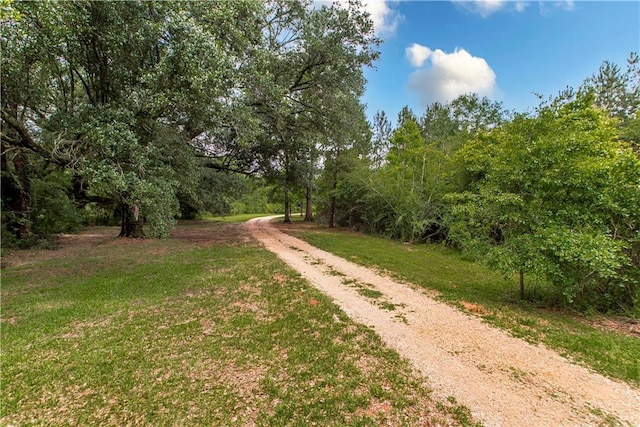 25194 Sprehe Rd, Angie, LA 70426 - photo 34