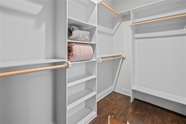 2060 Saint Denis St, New Orleans, LA 70122 - spacious closet with wood finished floors