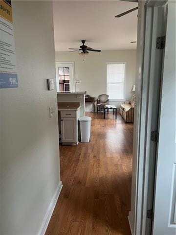 1415 Saint Anthony St, New Orleans, LA 70116 - hallway with healthy amount of natural light and dark wood-type flooring