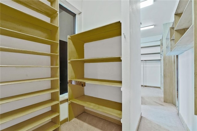 3128 Palm Vista Dr, Metairie, LA 70003 - view of storage area