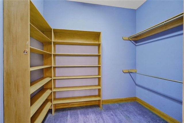 3128 Palm Vista Dr, Metairie, LA 70003 - spacious closet featuring carpet floors