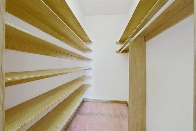 3128 Palm Vista Dr, Metairie, LA 70003 - spacious closet with carpet flooring