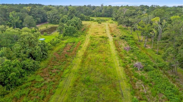 16.25ACRES Lees Landing Rd, Ponchatoula, LA 70454
