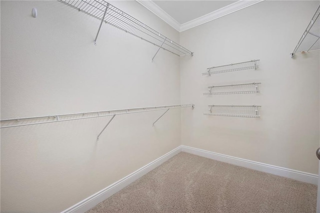 8000 Stonelake Village Ave Unit 406, Baton Rouge, LA 70820 - walk in closet featuring carpet floors