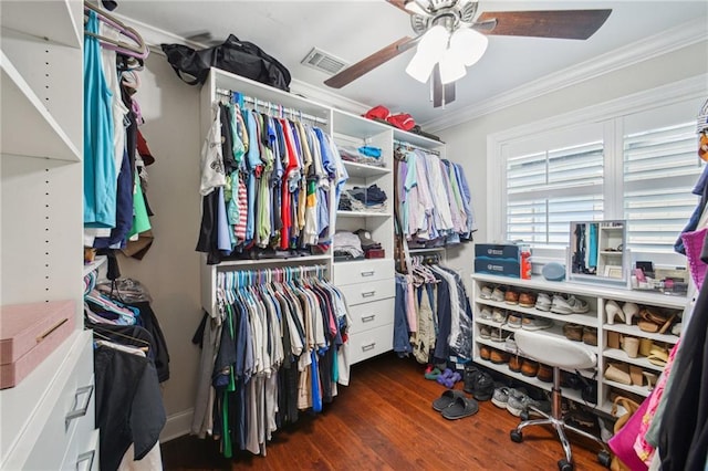 1213 Focis St, Metairie, LA 70005 - walk in closet with wood finished floors and ceiling fan