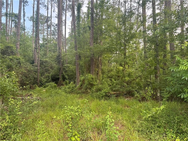 Russell Town Rd, Roseland, LA 70456 - photo 2