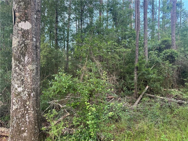 Russell Town Rd, Roseland, LA 70456 - photo 4