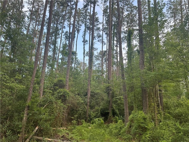 Russell Town Rd, Roseland, LA 70456 - photo 5
