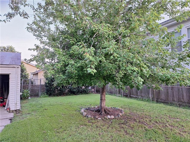 4712 Lafaye St, New Orleans, LA 70122 - view of yard