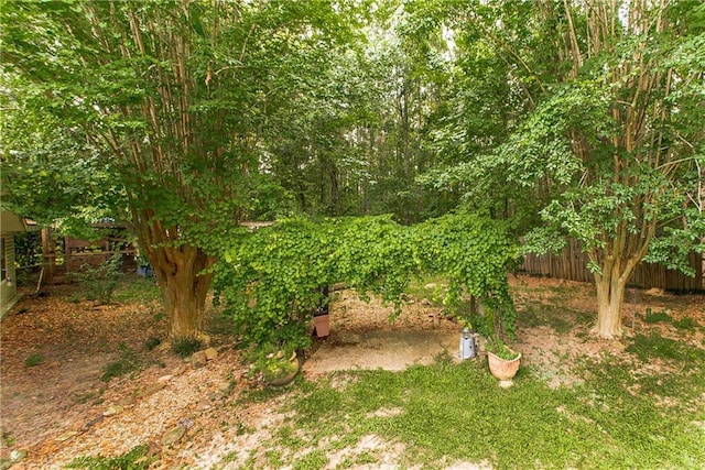 2129 Hamilton St, Franklinton, LA 70438 - view of nature
