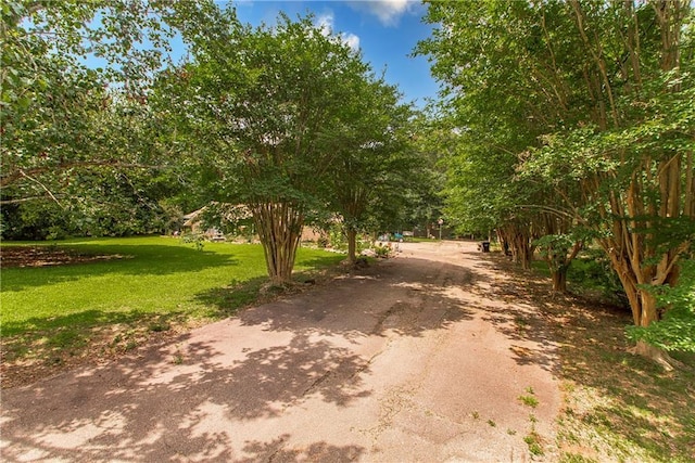 2129 Hamilton St, Franklinton, LA 70438 - view of road