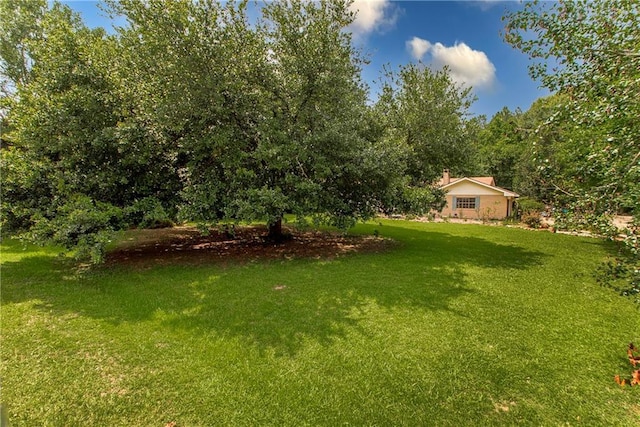 2129 Hamilton St, Franklinton, LA 70438 - view of grassy yard