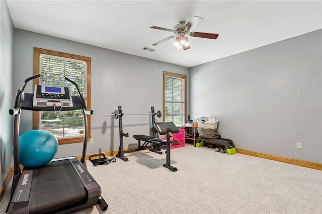 65045 Easy St, Pearl River, LA 70452 - exercise room featuring healthy amount of natural light and a ceiling fan