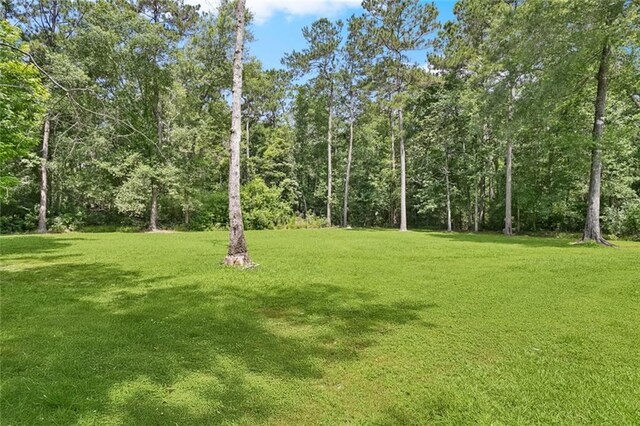 20294 Sisters Rd, Ponchatoula, LA 70454 - photo 21