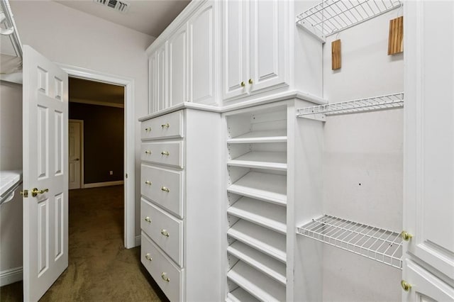 142 Colony Rd, Belle Chasse, LA 70037 - spacious closet featuring dark carpet