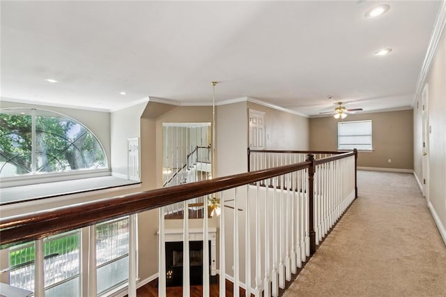 142 Colony Rd, Belle Chasse, LA 70037 - corridor featuring ornamental molding, recessed lighting, and carpet flooring
