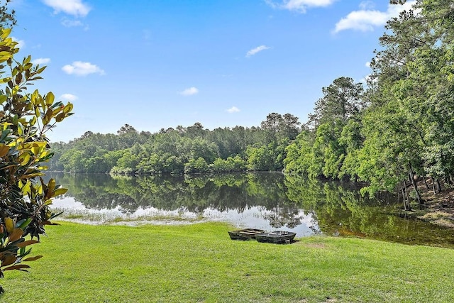 126 Gemstone Dr, Franklinton, LA 70438 - water view with a heavily wooded area