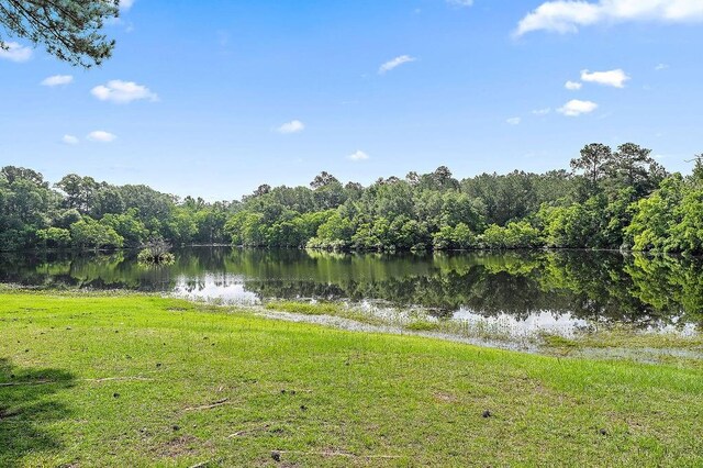 126 Gemstone Dr, Franklinton, LA 70438 - photo 25