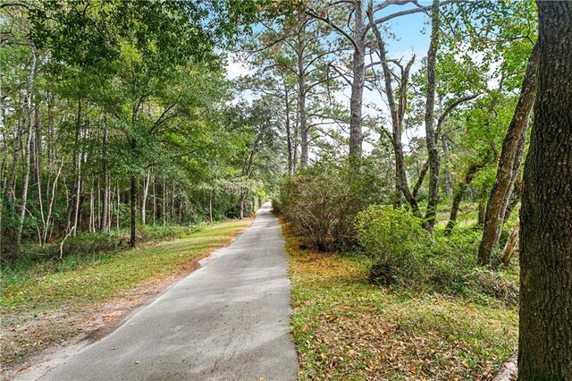602 Normandy Dr, Folsom, LA 70437 - photo 44