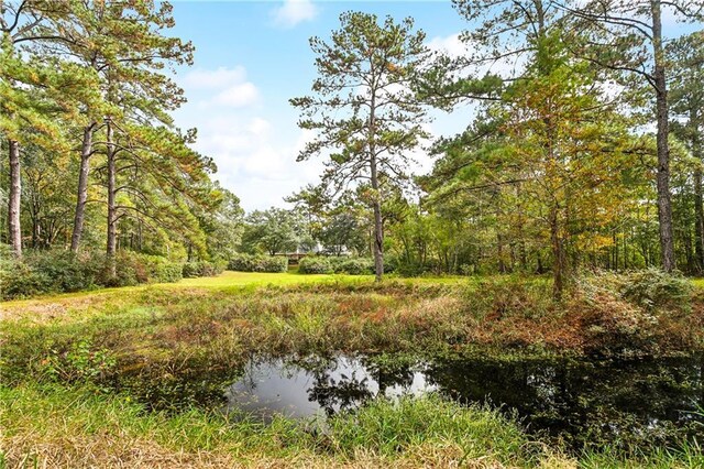 602 Normandy Dr, Folsom, LA 70437 - photo 45