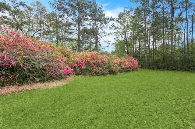 602 Normandy Dr, Folsom, LA 70437 - photo 46