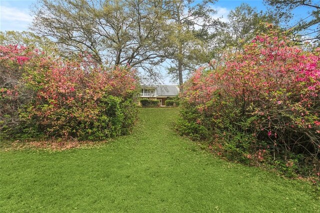 602 Normandy Dr, Folsom, LA 70437 - photo 47