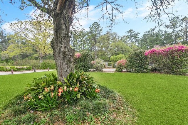 602 Normandy Dr, Folsom, LA 70437 - photo 49