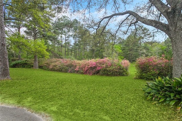602 Normandy Dr, Folsom, LA 70437 - photo 51