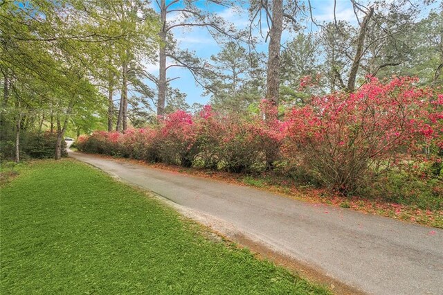 602 Normandy Dr, Folsom, LA 70437 - photo 52