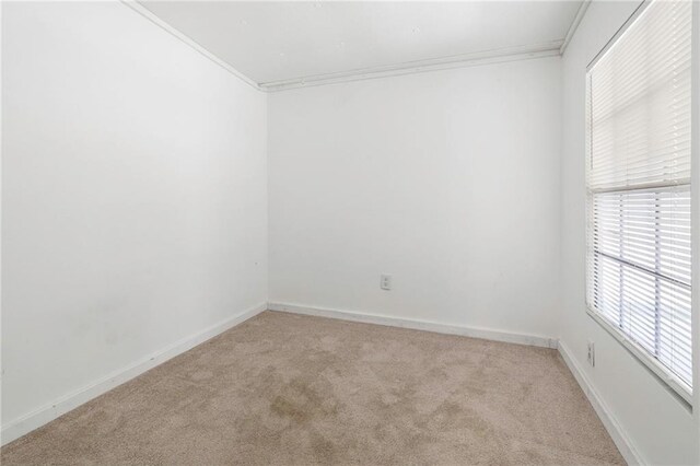 564 Mathew St, Lafitte, LA 70067 - empty room with light colored carpet and crown molding