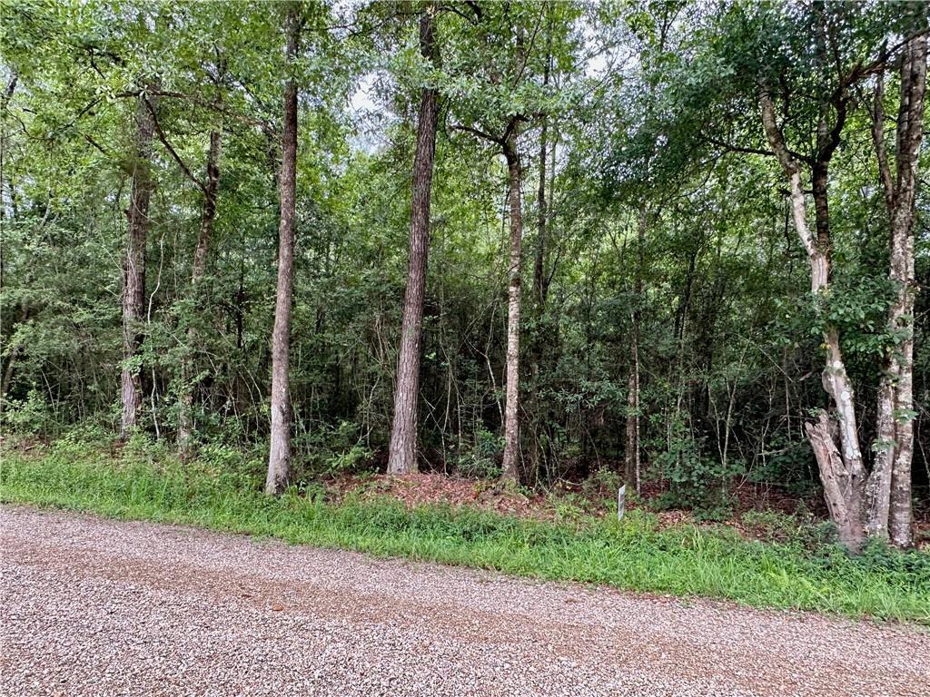 LOT4 Par St, Abita Springs, LA 70420