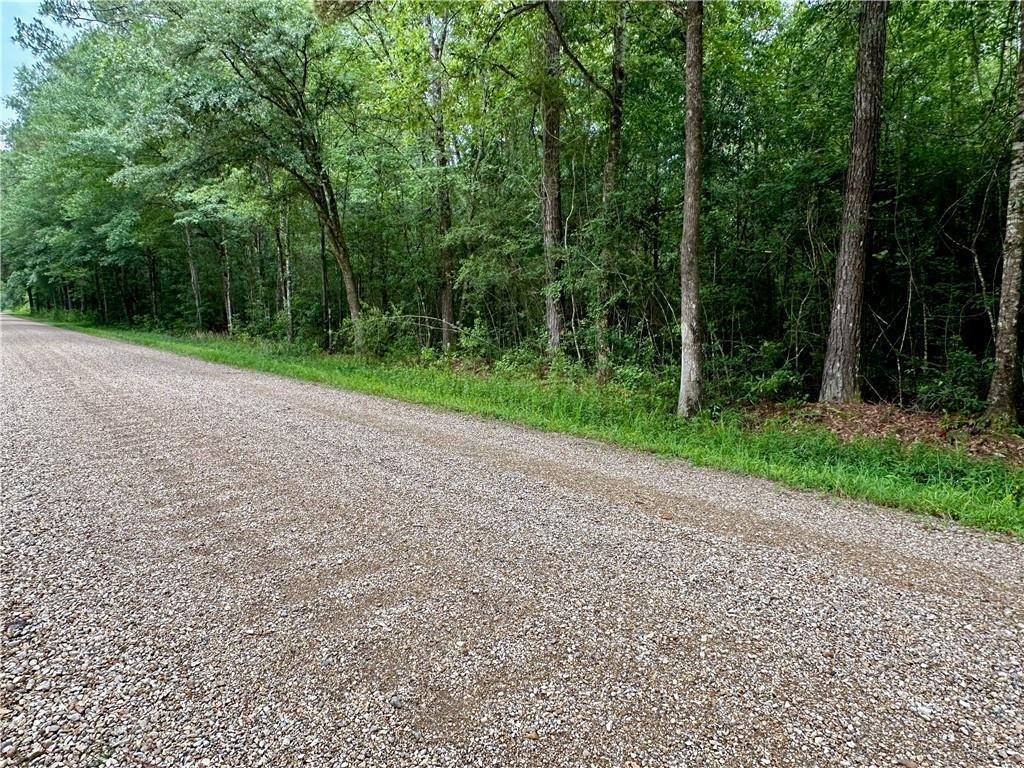 LOT4 Par St, Abita Springs, LA 70420