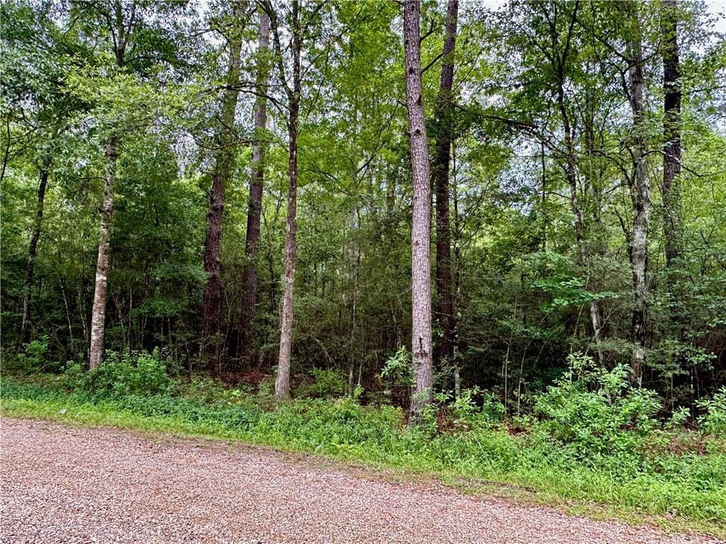 LOT3 Par St, Abita Springs, LA 70420 - photo 2