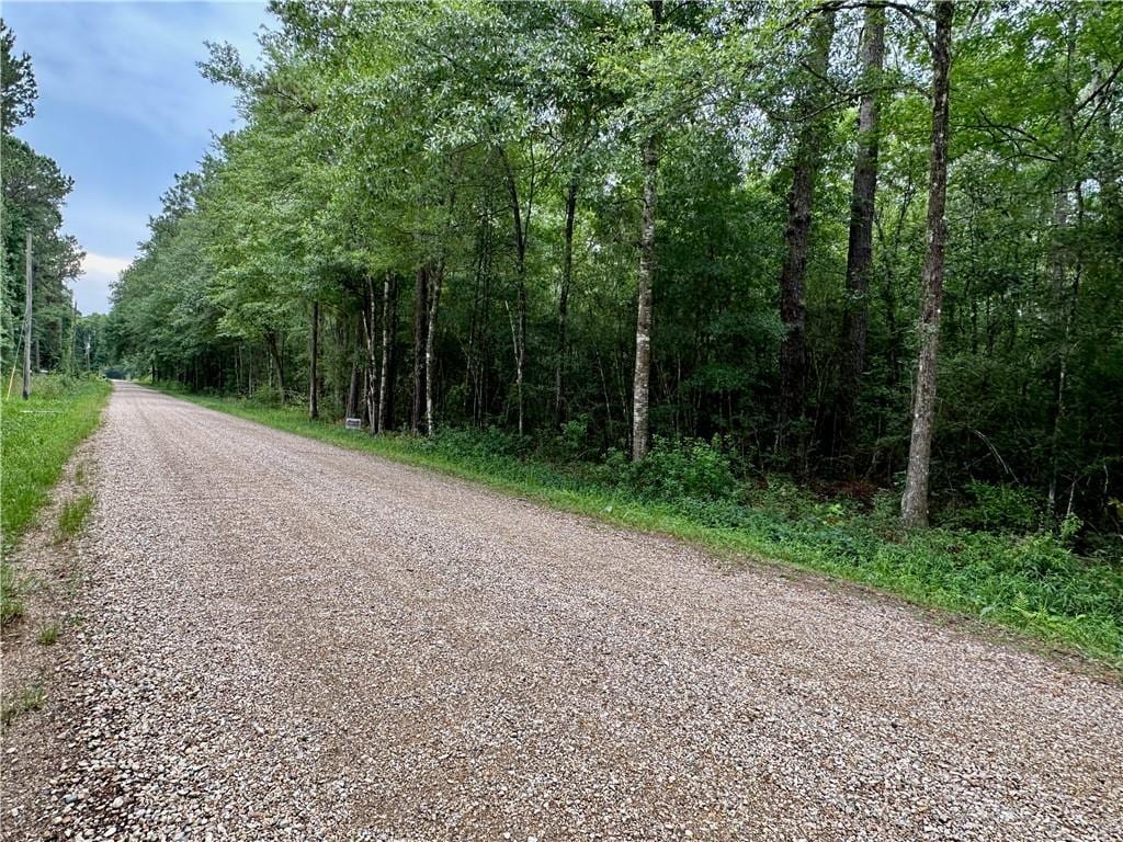 LOT3 Par St, Abita Springs, LA 70420 - photo 3