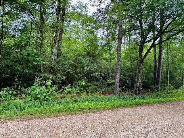 LOT3 Par St, Abita Springs, LA 70420 - photo 4