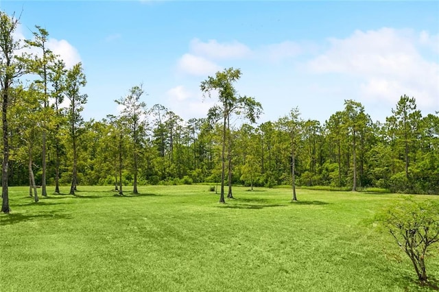 37155 Murray Rd, Pearl River, LA 70452 - photo 23