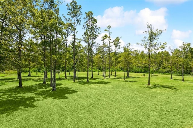 37155 Murray Rd, Pearl River, LA 70452 - photo 24