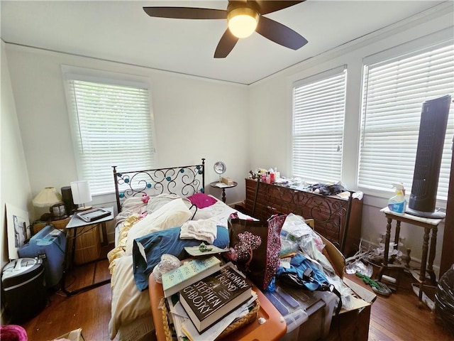 21416 N 12th St, Baton Rouge, LA 70802 - bedroom featuring wood finished floors, multiple windows, and ceiling fan