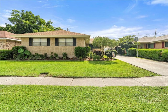 1709 Francis Ave, Metairie, LA 70003 - ranch-style home featuring concrete driveway, a front yard, and brick siding