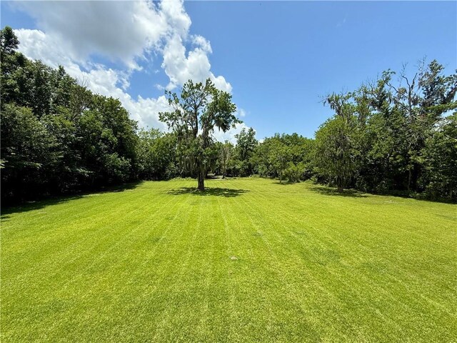 7282 Barataria Blvd, Marrero, LA 70072 - view of green lawn